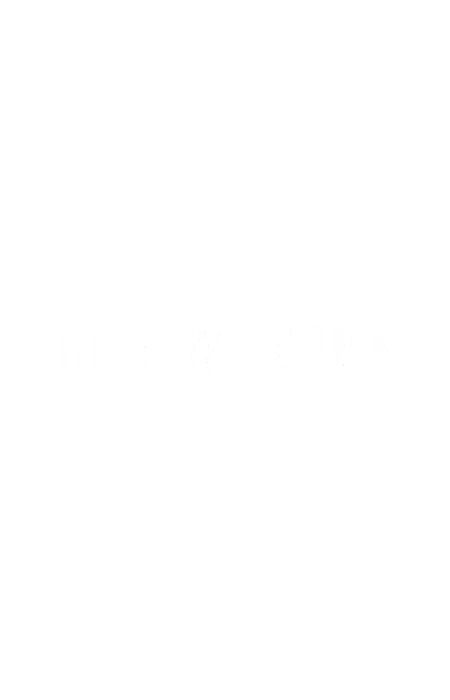 THE NEW NORMAL